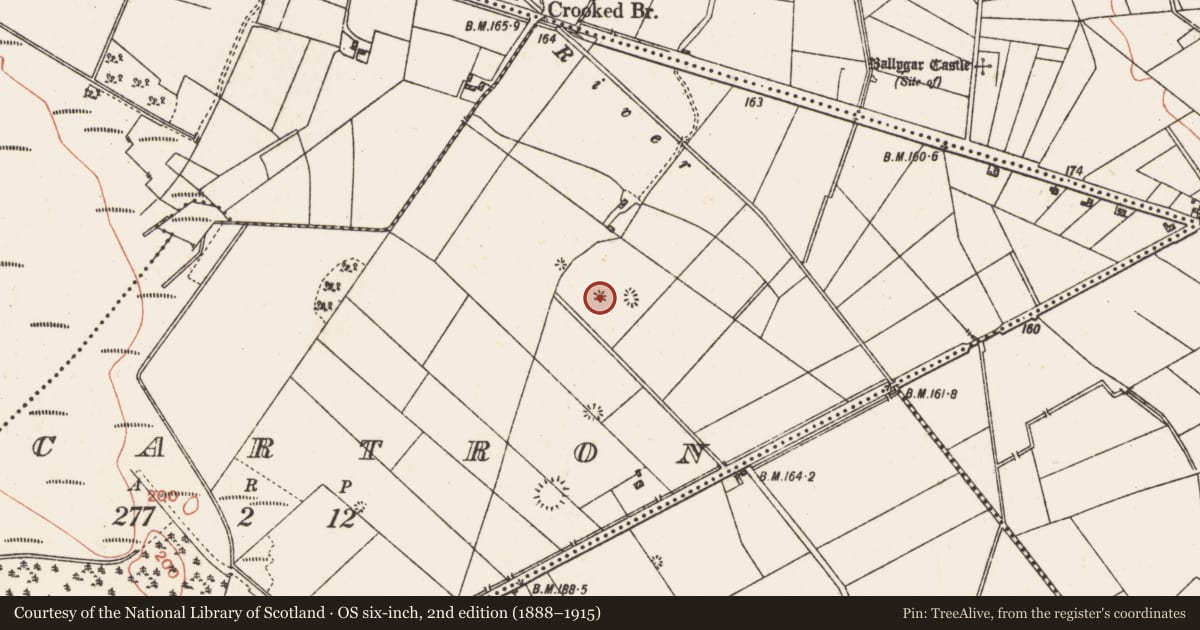 Ordnance Survey six-inch map, 2nd edition (1888–1915) covering the location of Quarry, Cartron, County Galway, with a pin at the register's coordinates
