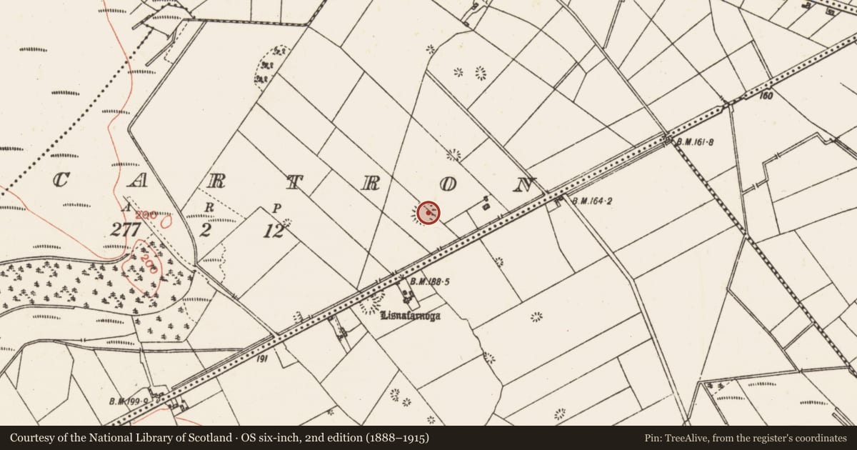 Ordnance Survey six-inch map, 2nd edition (1888–1915) covering the location of Ringfort - rath, Cartron, County Galway, with a pin at the register's coordinates