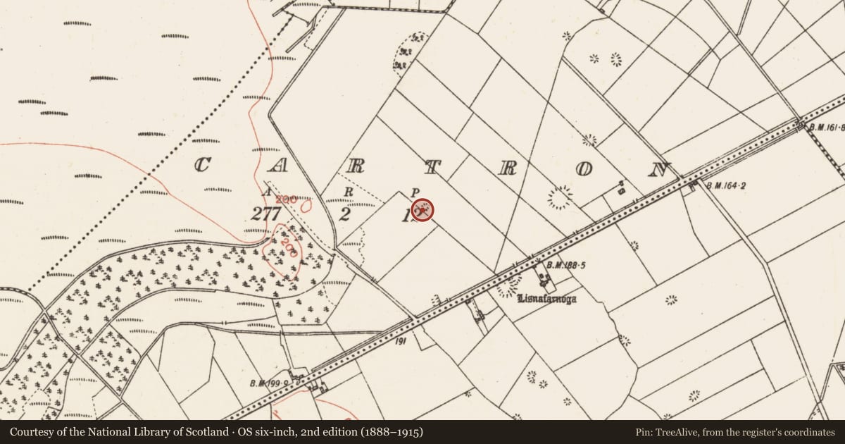 Ordnance Survey six-inch map, 2nd edition (1888–1915) covering the location of Quarry, Cartron, County Galway, with a pin at the register's coordinates