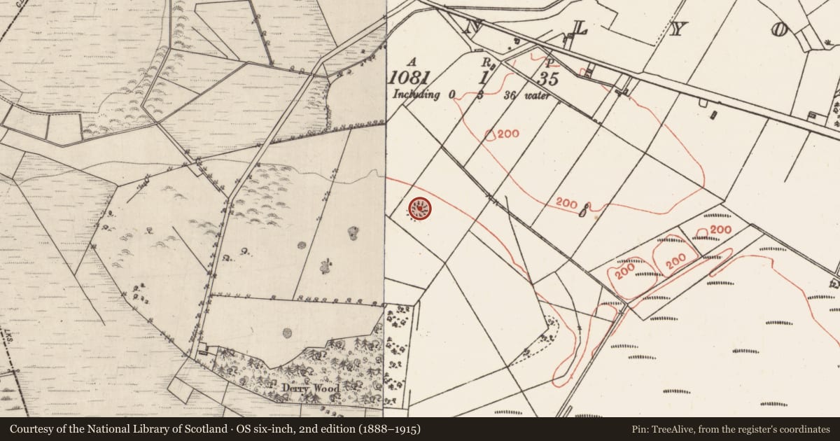 Ordnance Survey six-inch map, 2nd edition (1888–1915) covering the location of Ringfort - rath, Cloonlyon, County Galway, with a pin at the register's coordinates