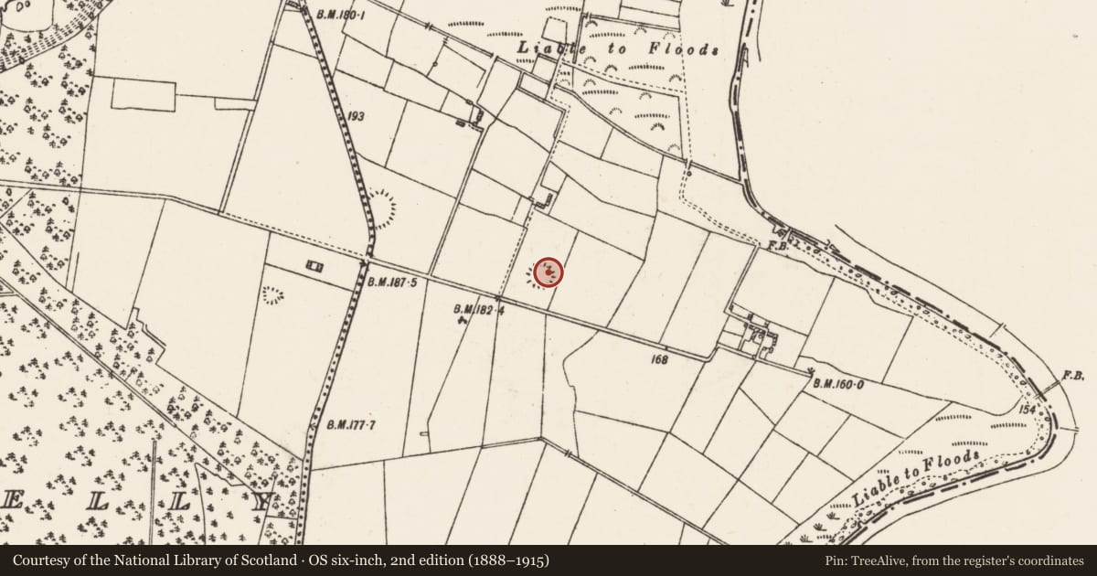 Ordnance Survey six-inch map, 2nd edition (1888–1915) covering the location of Ringfort - rath, Cloonruff, County Galway, with a pin at the register's coordinates
