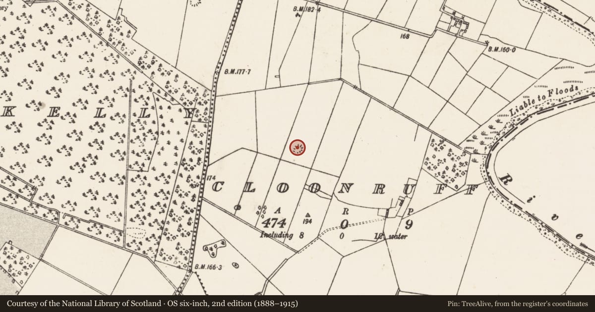 Ordnance Survey six-inch map, 2nd edition (1888–1915) covering the location of Quarry, Cloonruff, County Galway, with a pin at the register's coordinates