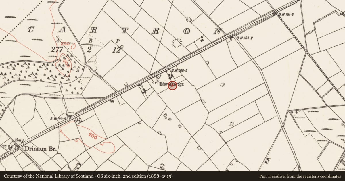 Ordnance Survey six-inch map, 2nd edition (1888–1915) covering the location of Quarry, Drinaun, County Galway, with a pin at the register's coordinates