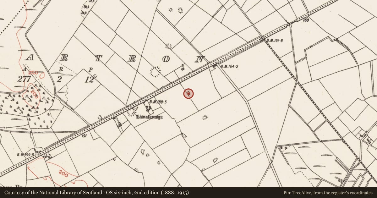 Ordnance Survey six-inch map, 2nd edition (1888–1915) covering the location of Quarry, Drinaun, County Galway, with a pin at the register's coordinates