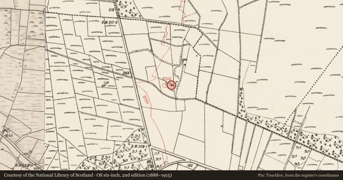 Ordnance Survey six-inch map, 2nd edition (1888–1915) covering the location of Graveyard, Kilmore, County Galway, with a pin at the register's coordinates