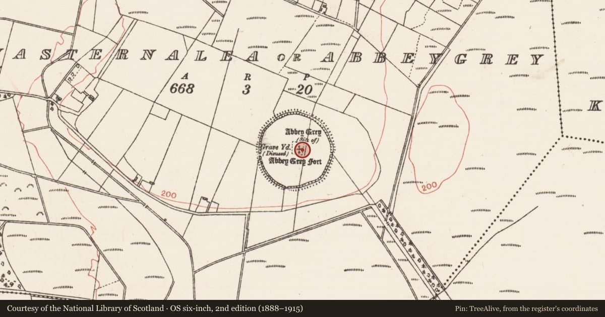 Ordnance Survey six-inch map, 2nd edition (1888–1915) covering the location of Ecclesiastical site, Monasternalea Or Abbeygrey, County Galway, with a pin at the register's coordinates