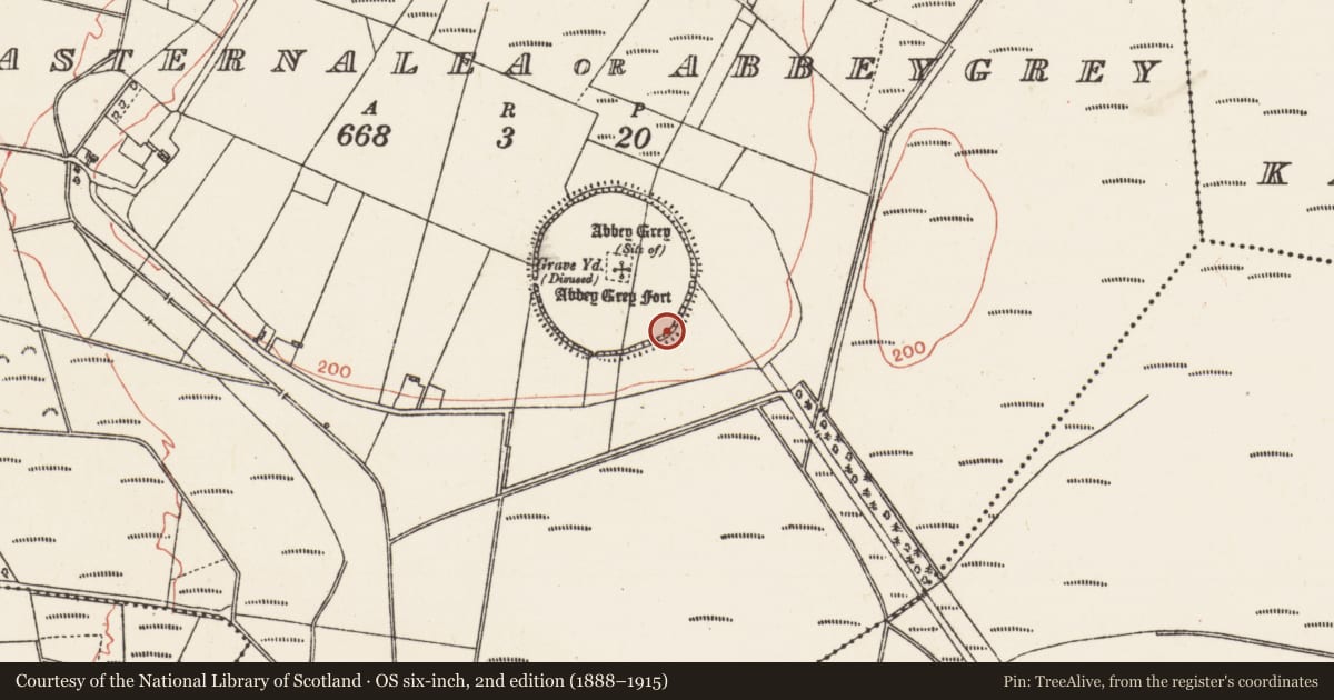 Ordnance Survey six-inch map, 2nd edition (1888–1915) covering the location of Bullaun stone, Monasternalea Or Abbeygrey, County Galway, with a pin at the register's coordinates