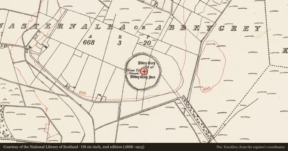 Ordnance Survey six-inch map, 2nd edition (1888–1915) covering the location of Ecclesiastical enclosure, Monasternalea Or Abbeygrey, County Galway, with a pin at the register's coordinates