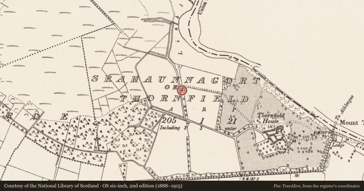 Ordnance Survey six-inch map, 2nd edition (1888–1915) covering the location of Quarry, Srahaunnagort Or Thornfield, County Galway, with a pin at the register's coordinates