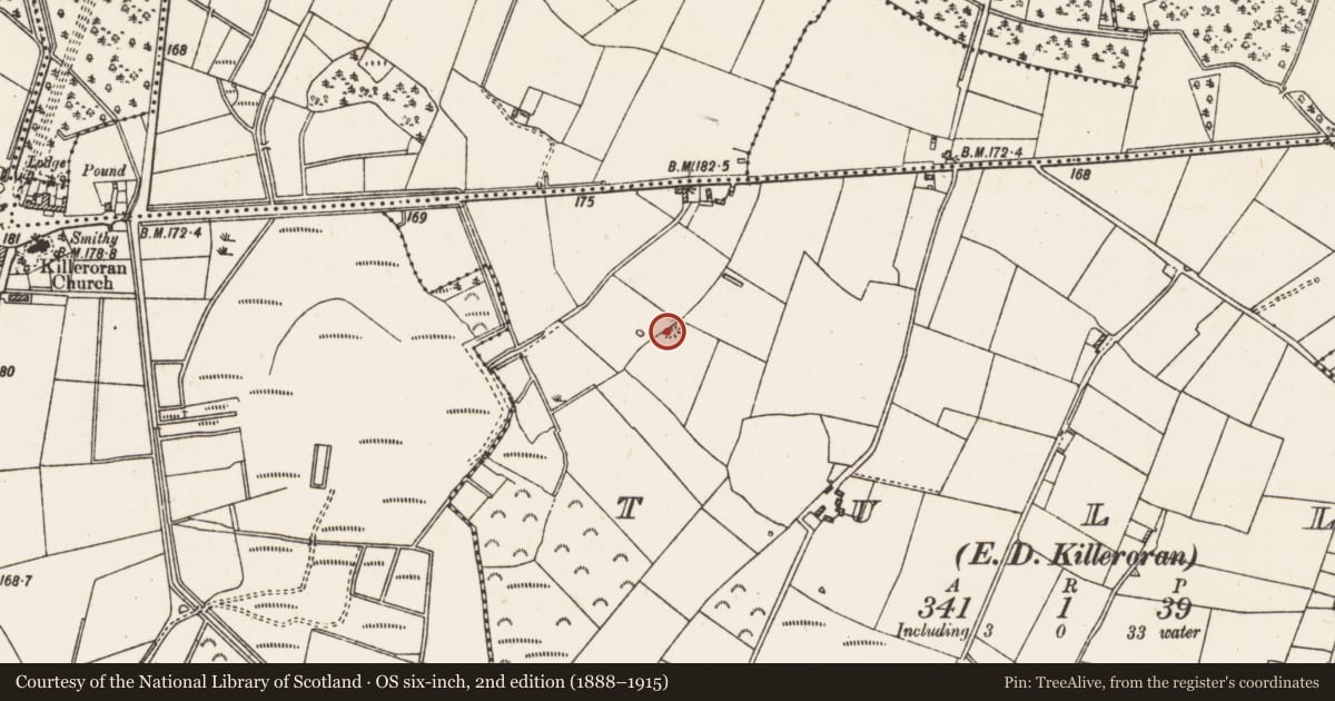 Ordnance Survey six-inch map, 2nd edition (1888–1915) covering the location of Quarry, Tully (ED Killererin), County Galway, with a pin at the register's coordinates