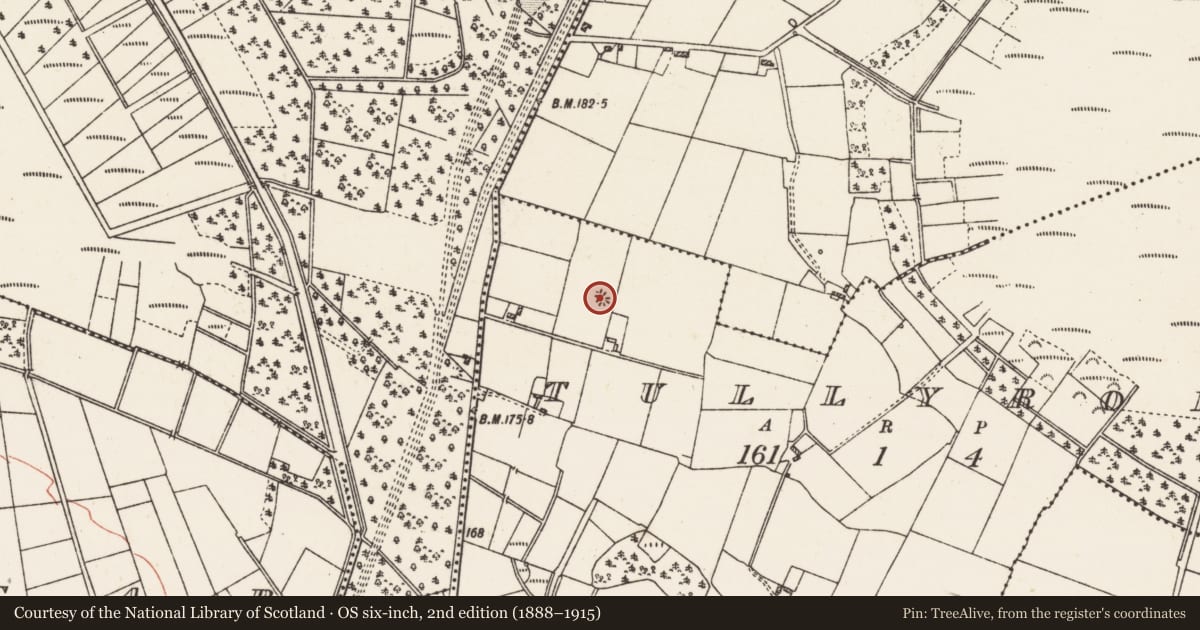 Ordnance Survey six-inch map, 2nd edition (1888–1915) covering the location of Quarry, Tully (ED Killererin), County Galway, with a pin at the register's coordinates