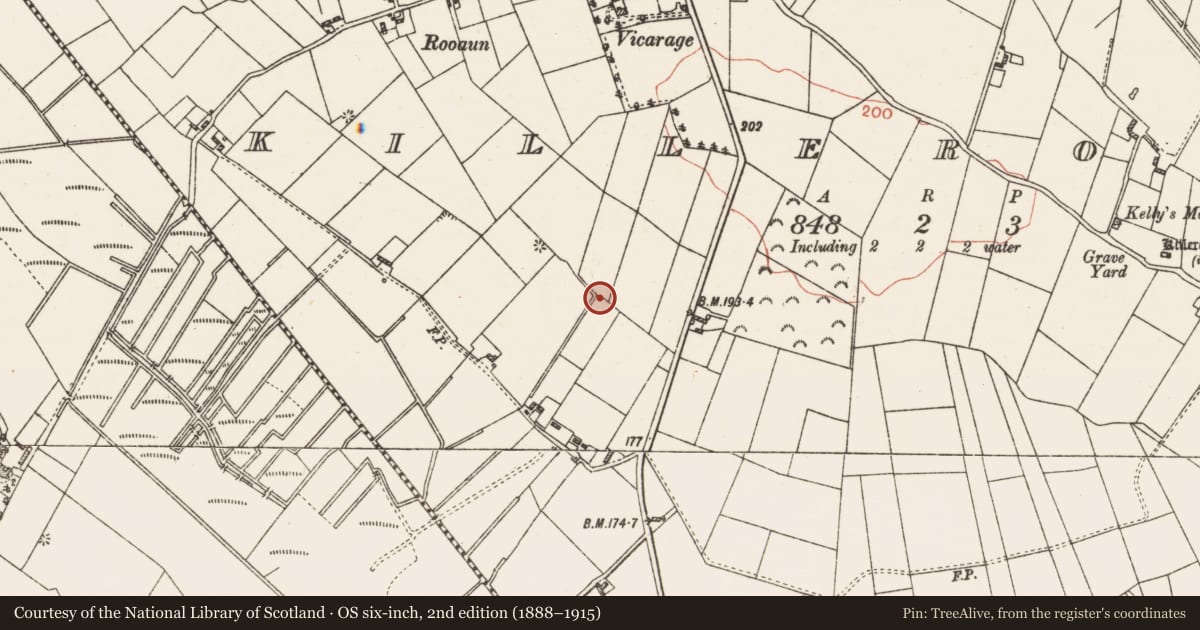 Ordnance Survey six-inch map, 2nd edition (1888–1915) covering the location of Standing stone, Killeroran, County Galway, with a pin at the register's coordinates