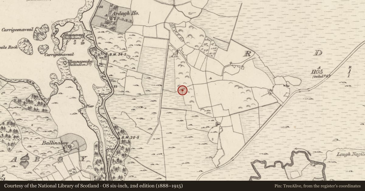 Ordnance Survey six-inch map, 2nd edition (1888–1915) covering the location of Megalithic tomb - wedge tomb, Ardagh, County Galway, with a pin at the register's coordinates