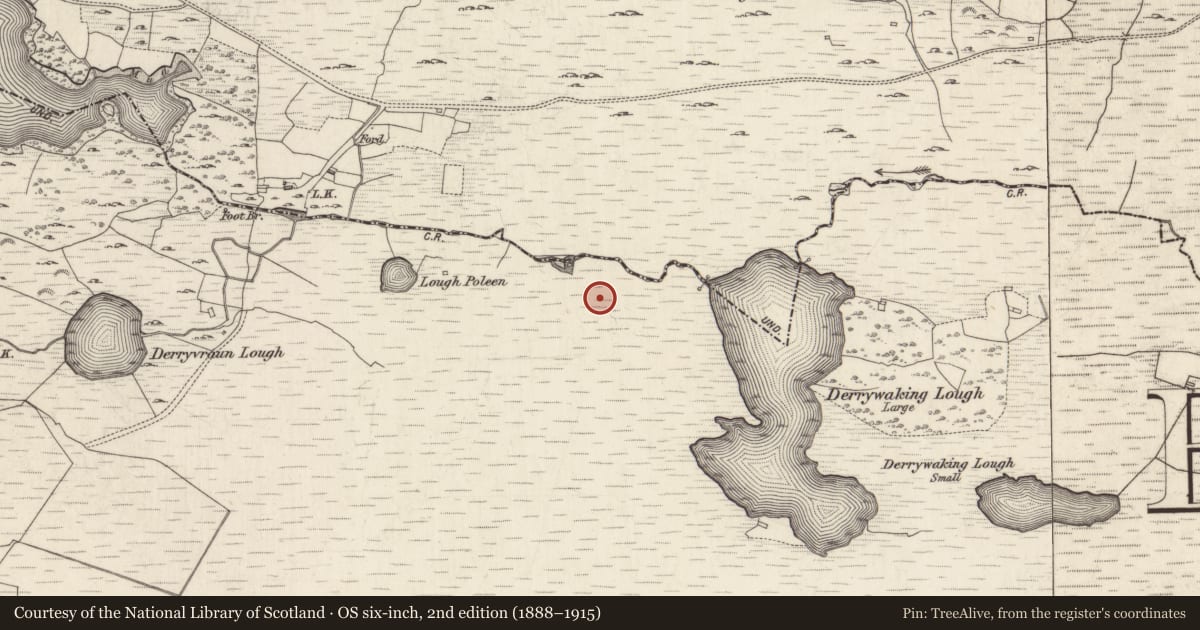 Ordnance Survey six-inch map, 2nd edition (1888–1915) covering the location of Mass-rock, Ardagh, County Galway, with a pin at the register's coordinates