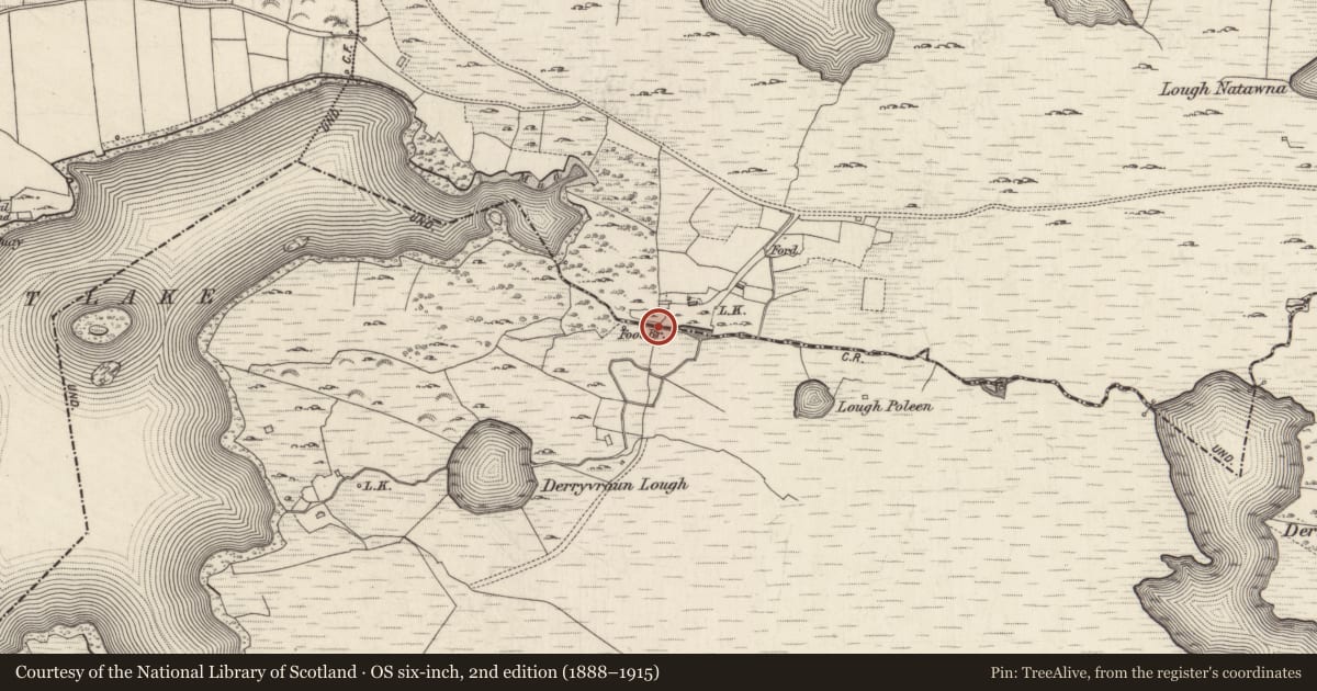 Ordnance Survey six-inch map, 2nd edition (1888–1915) covering the location of Bridge, Killymongaun, Ardagh, County Galway, with a pin at the register's coordinates