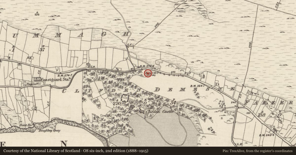 Ordnance Survey six-inch map, 2nd edition (1888–1915) covering the location of Burial ground, Clifden Demesne, County Galway, with a pin at the register's coordinates