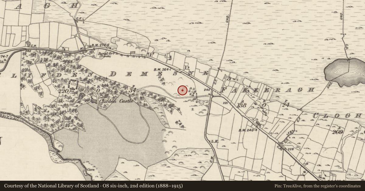 Ordnance Survey six-inch map, 2nd edition (1888–1915) covering the location of Designed landscape feature, Clifden Demesne, County Galway, with a pin at the register's coordinates
