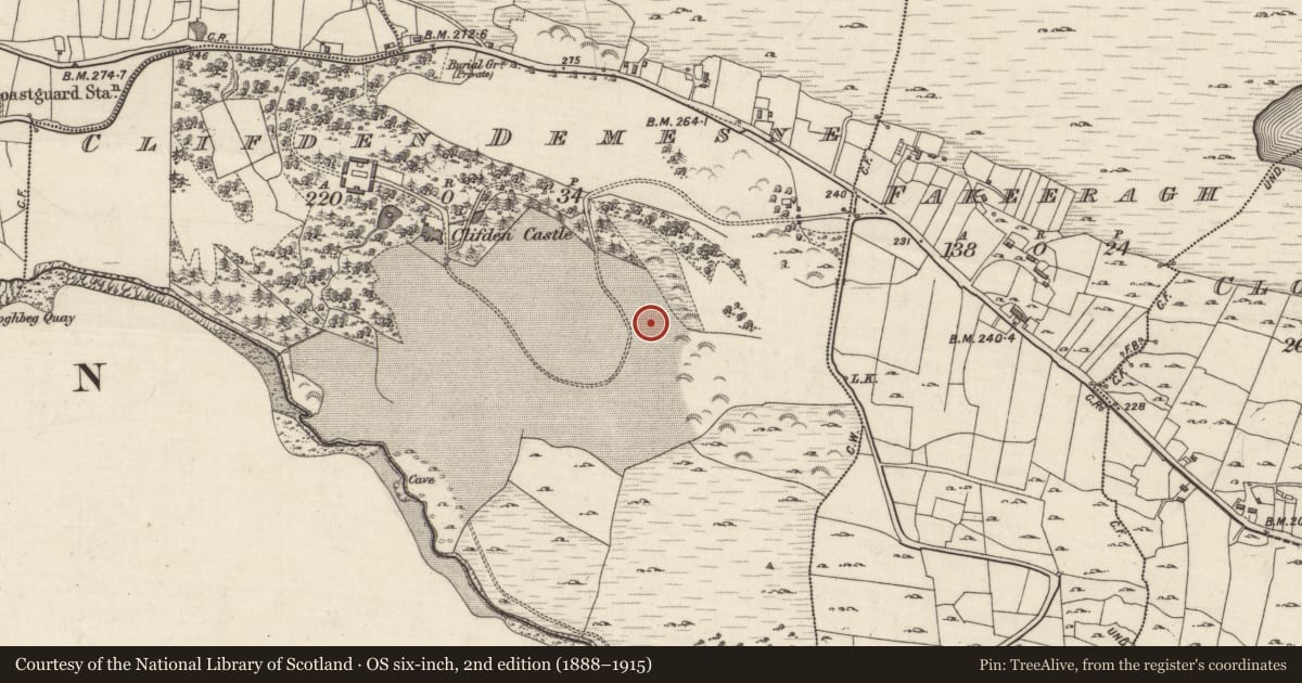 Ordnance Survey six-inch map, 2nd edition (1888–1915) covering the location of Designed landscape feature, Clifden Demesne, County Galway, with a pin at the register's coordinates