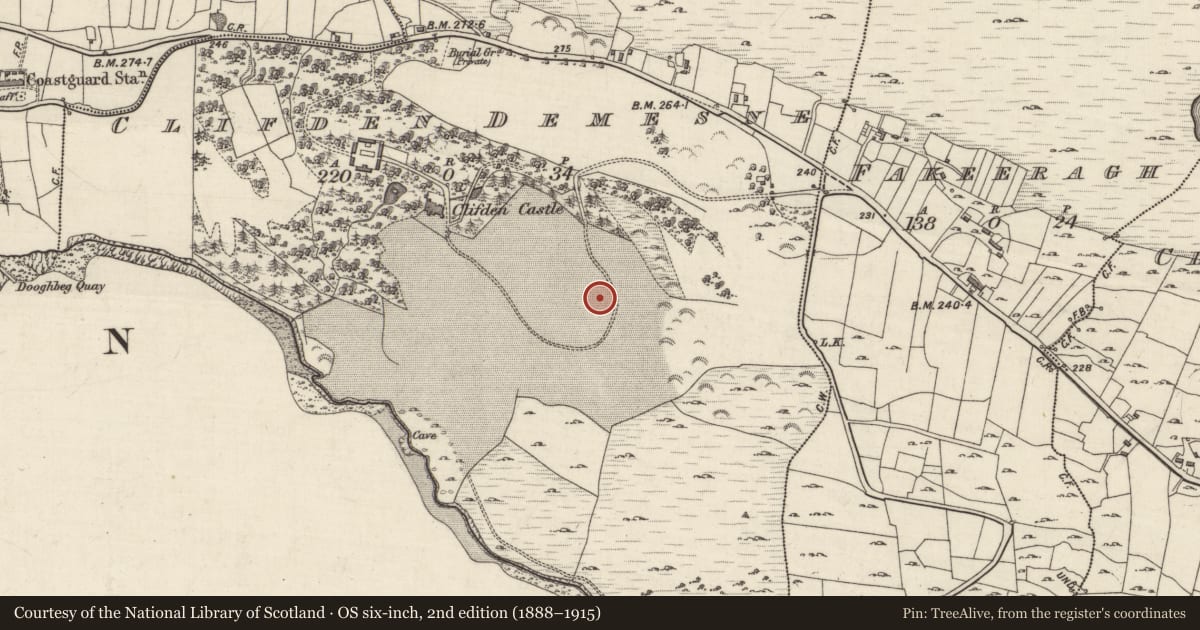Ordnance Survey six-inch map, 2nd edition (1888–1915) covering the location of Designed landscape feature, Clifden Demesne, County Galway, with a pin at the register's coordinates
