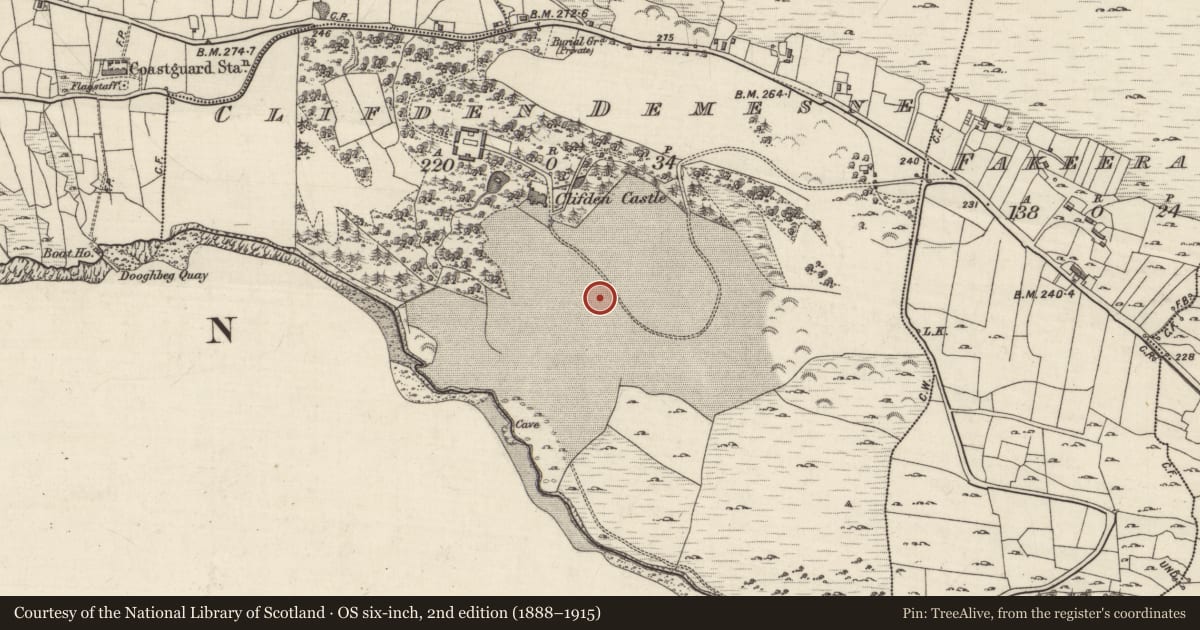 Ordnance Survey six-inch map, 2nd edition (1888–1915) covering the location of Designed landscape feature, Clifden Demesne, County Galway, with a pin at the register's coordinates