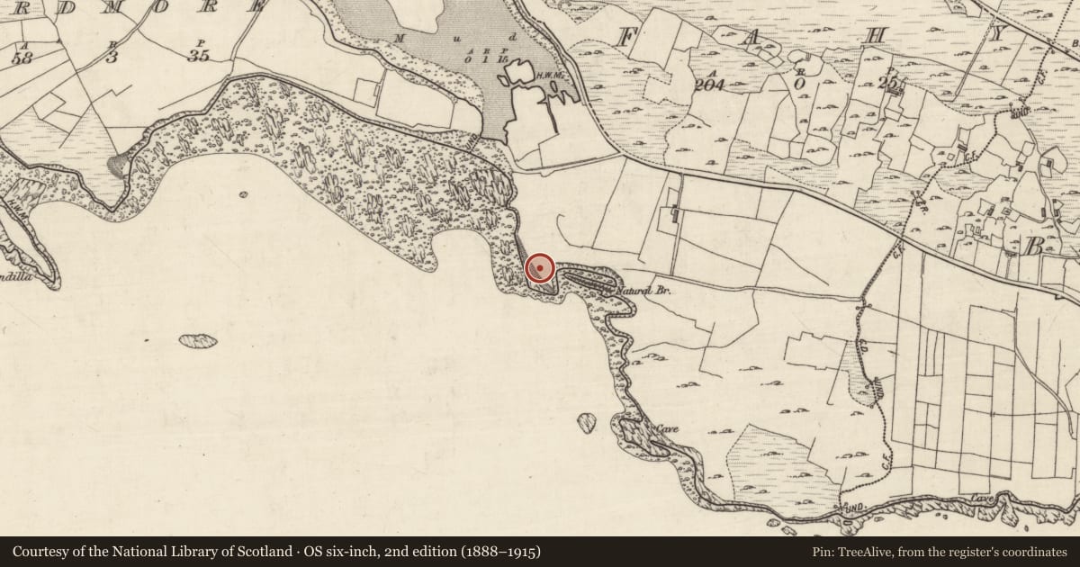 Ordnance Survey six-inch map, 2nd edition (1888–1915) covering the location of Promontory fort - coastal, Fahy, County Galway, with a pin at the register's coordinates