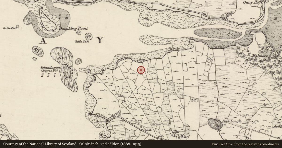 Ordnance Survey six-inch map, 2nd edition (1888–1915) covering the location of Standing stone, Faul, County Galway, with a pin at the register's coordinates
