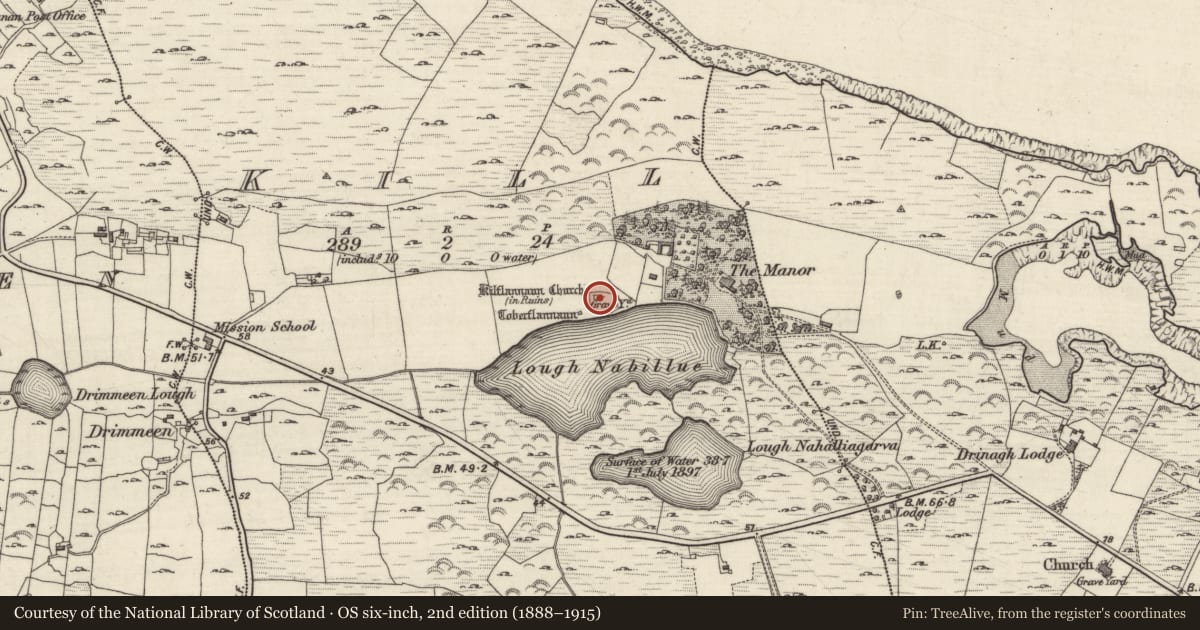 Ordnance Survey six-inch map, 2nd edition (1888–1915) covering the location of Church, Kill (Ballindoon Par.), County Galway, with a pin at the register's coordinates