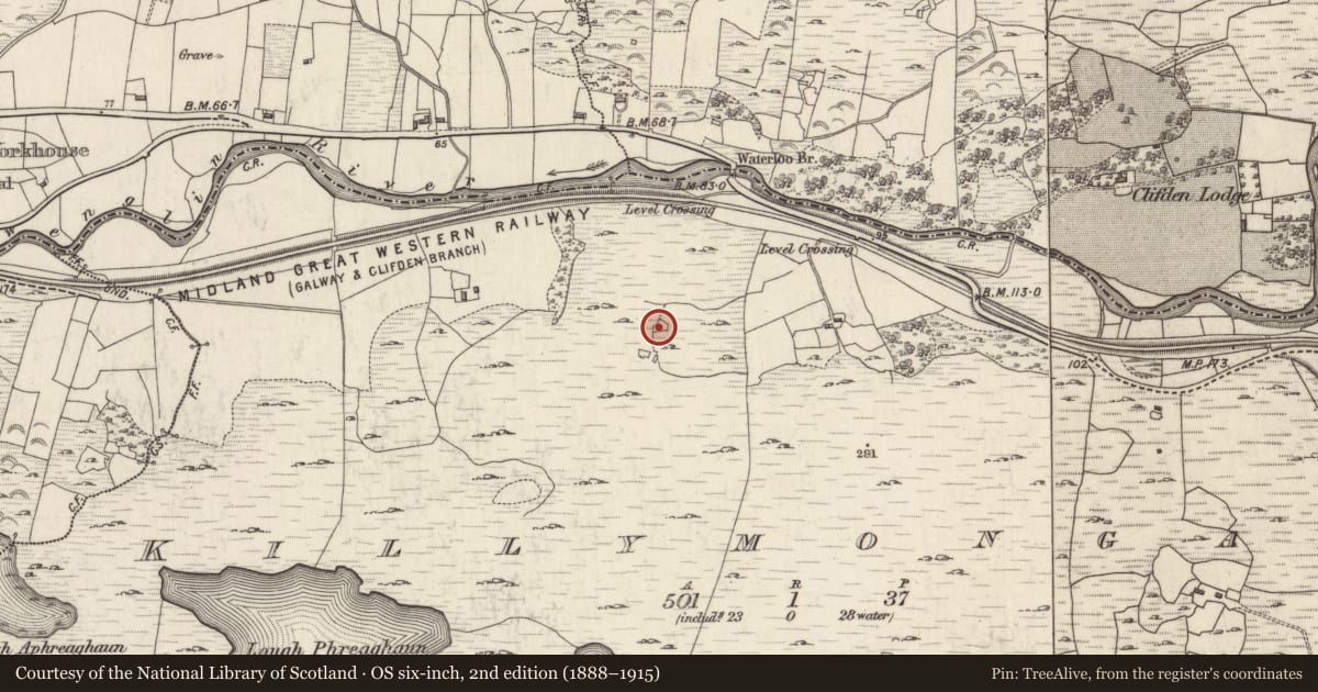 Ordnance Survey six-inch map, 2nd edition (1888–1915) covering the location of Ringfort - cashel, Killymongaun, County Galway, with a pin at the register's coordinates
