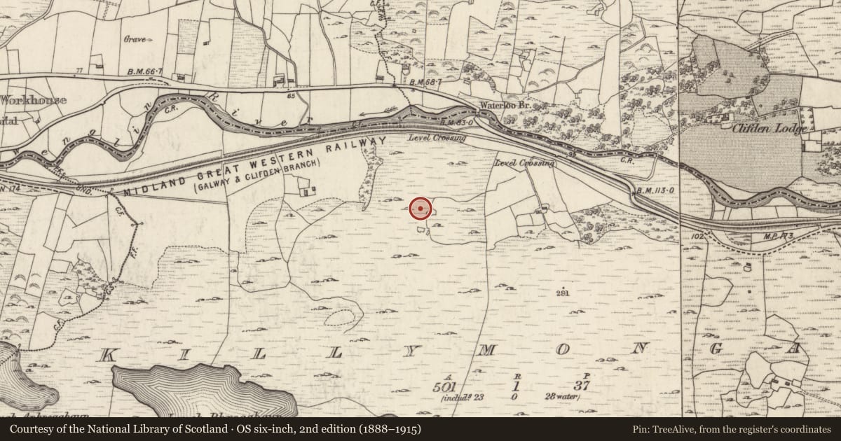 Ordnance Survey six-inch map, 2nd edition (1888–1915) covering the location of Hut site, Killymongaun, County Galway, with a pin at the register's coordinates