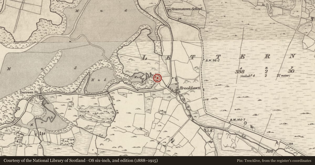 Ordnance Survey six-inch map, 2nd edition (1888–1915) covering the location of Standing stone, Letterdeen, County Galway, with a pin at the register's coordinates