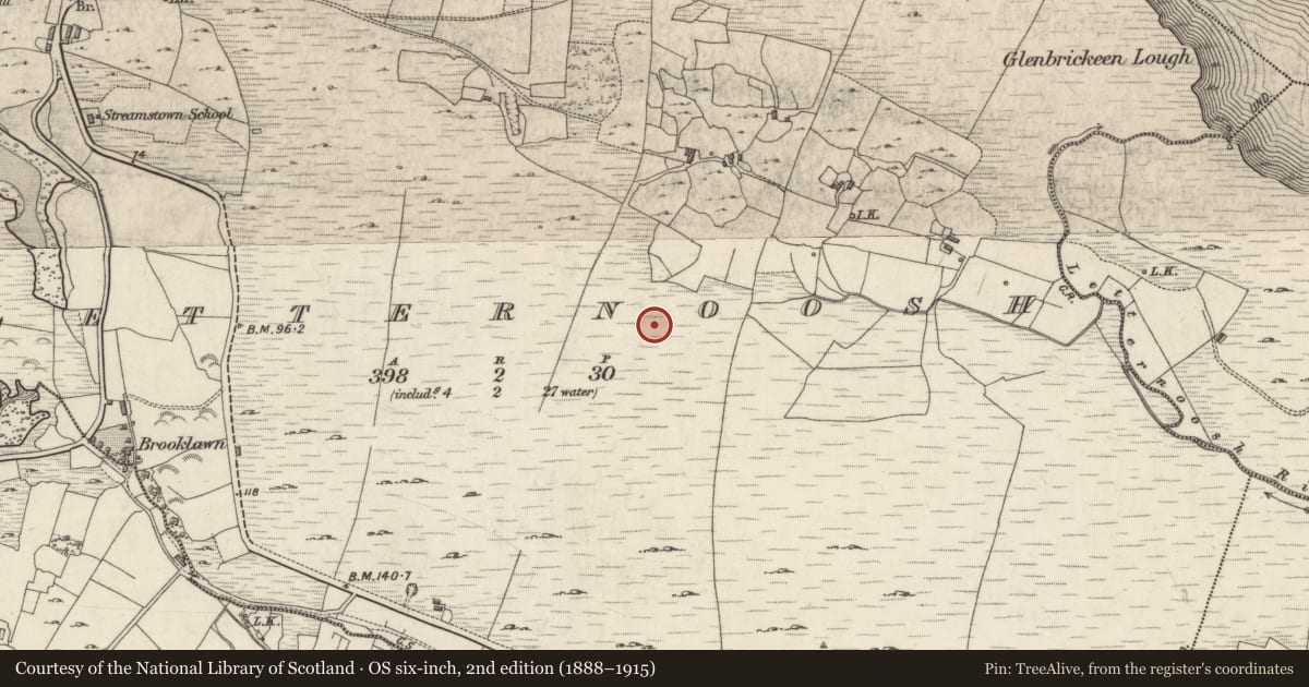 Ordnance Survey six-inch map, 2nd edition (1888–1915) covering the location of Megalithic tomb - wedge tomb, Letternoosh, County Galway, with a pin at the register's coordinates