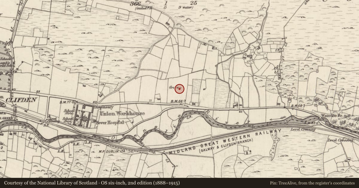 Ordnance Survey six-inch map, 2nd edition (1888–1915) covering the location of Burial, Tullyvoheen, County Galway, with a pin at the register's coordinates