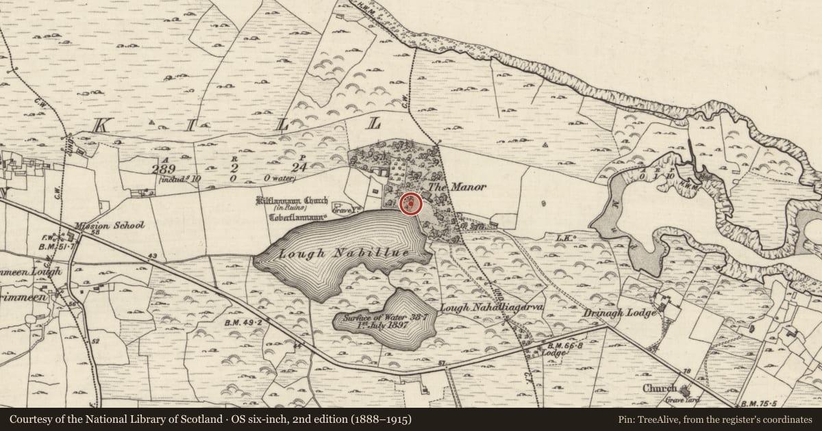 Ordnance Survey six-inch map, 2nd edition (1888–1915) covering the location of Ritual site - holy/saint's stone, Kill (Ballindoon Par.), County Galway, with a pin at the register's coordinates