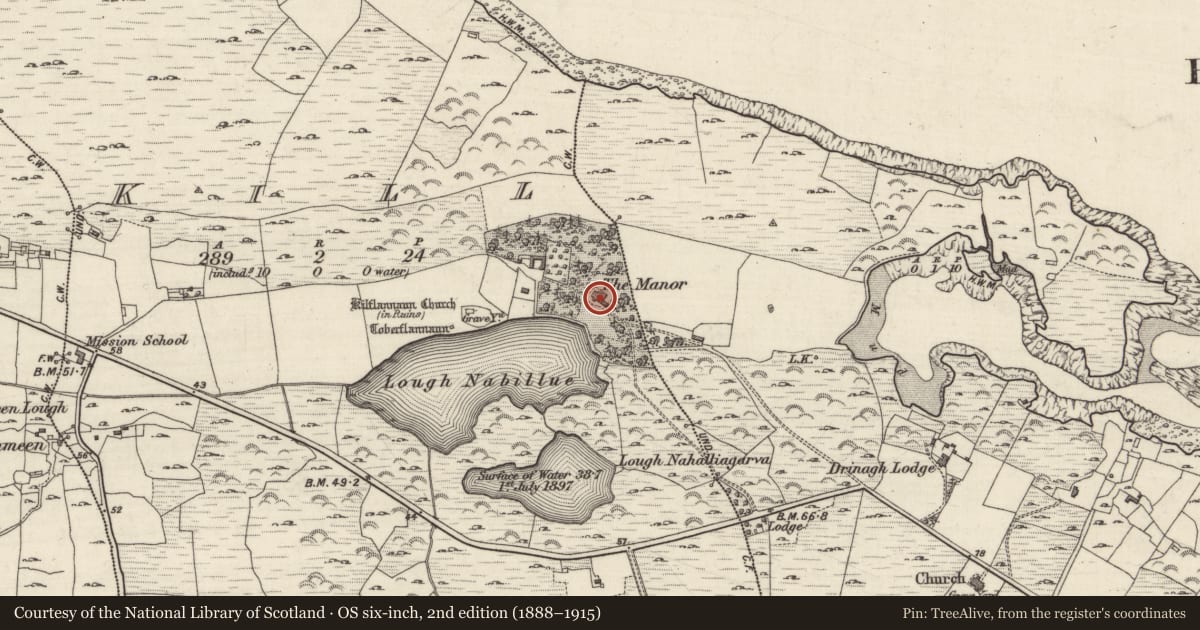 Ordnance Survey six-inch map, 2nd edition (1888–1915) covering the location of Architectural fragment, Kill (Ballindoon Par.), County Galway, with a pin at the register's coordinates