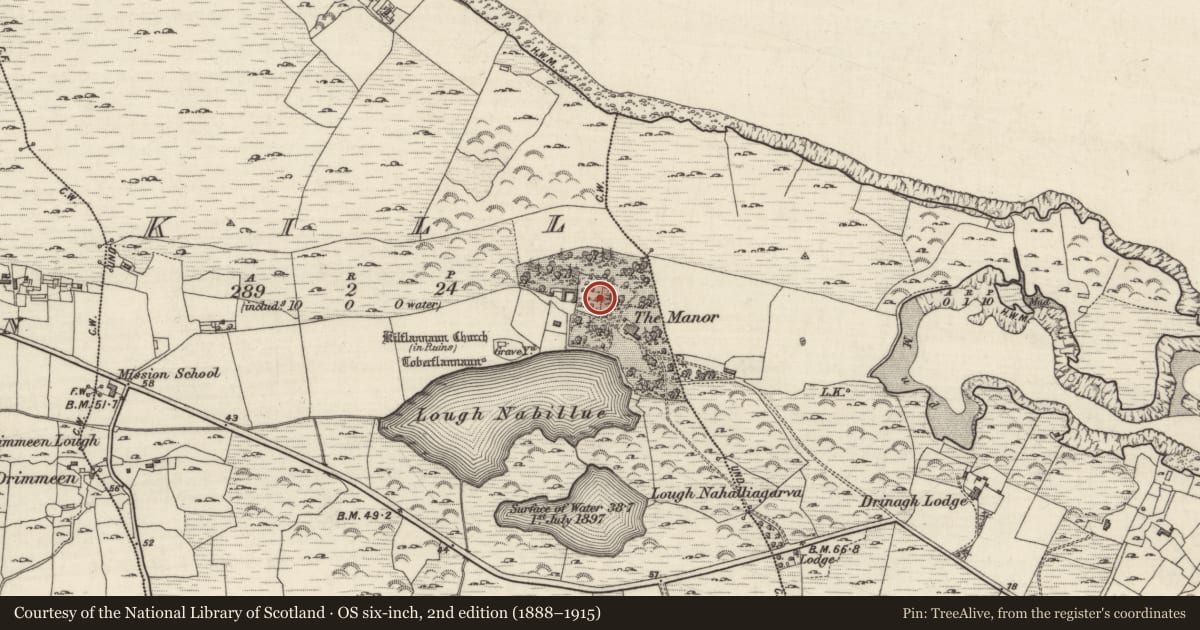 Ordnance Survey six-inch map, 2nd edition (1888–1915) covering the location of Architectural fragment, Kill (Ballindoon Par.), County Galway, with a pin at the register's coordinates