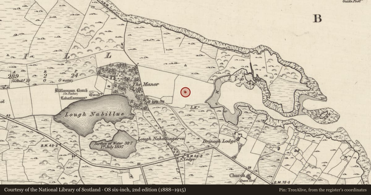 Ordnance Survey six-inch map, 2nd edition (1888–1915) covering the location of House - indeterminate date, Drinagh, County Galway, with a pin at the register's coordinates