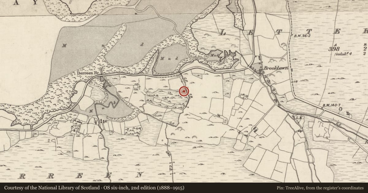 Ordnance Survey six-inch map, 2nd edition (1888–1915) covering the location of Ringfort - cashel, An Doirín, County Galway, with a pin at the register's coordinates