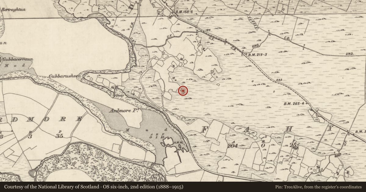 Ordnance Survey six-inch map, 2nd edition (1888–1915) covering the location of Megalithic tomb - court tomb, Fahy, County Galway, with a pin at the register's coordinates