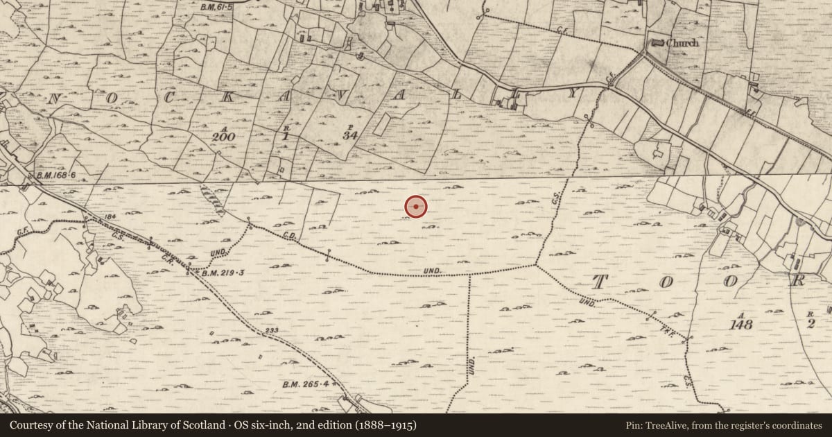Ordnance Survey six-inch map, 2nd edition (1888–1915) covering the location of Megalithic tomb - wedge tomb, Knockavally, County Galway, with a pin at the register's coordinates