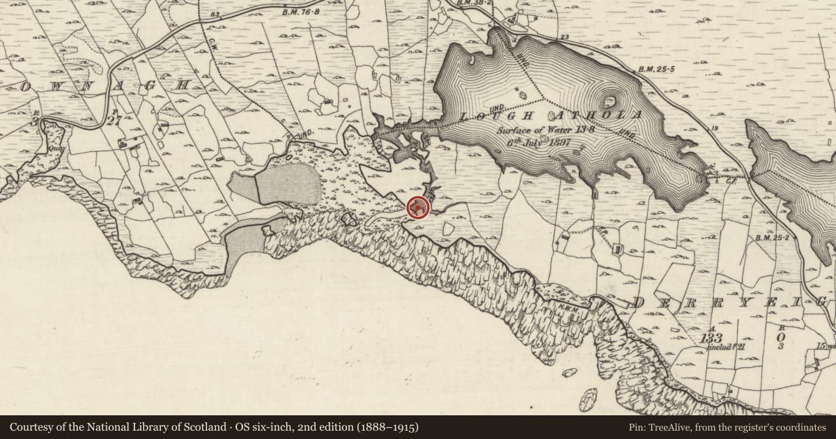 Ordnance Survey six-inch map, 2nd edition (1888–1915) covering the location of Weir - fish, Derryeighter, County Galway, with a pin at the register's coordinates