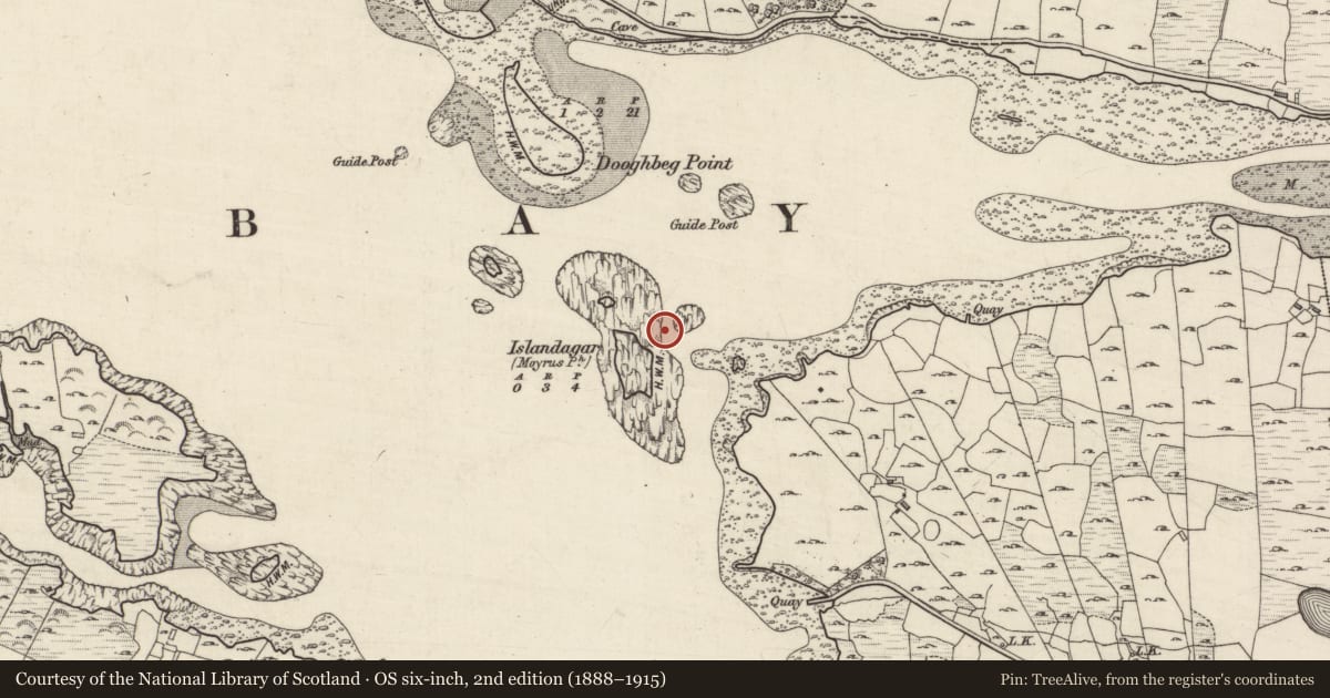Ordnance Survey six-inch map, 2nd edition (1888–1915) covering the location of Field boundary, Atlantic Ocean, County Galway, with a pin at the register's coordinates