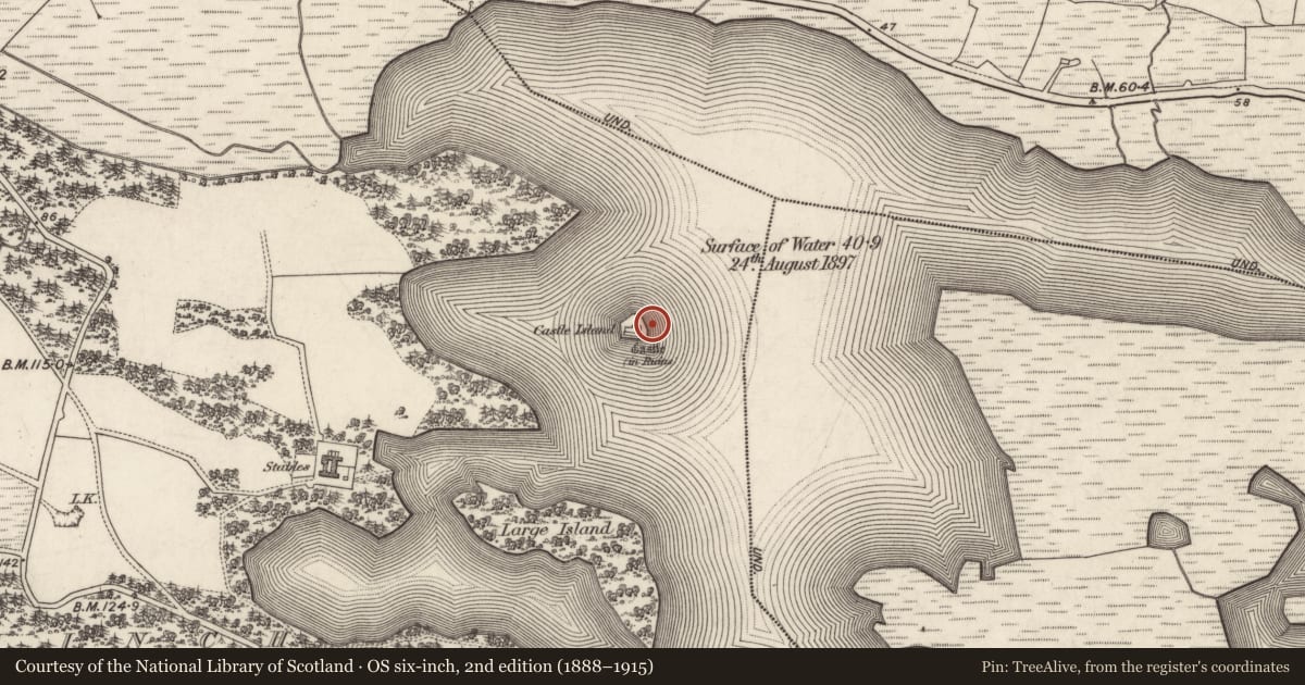 Ordnance Survey six-inch map, 2nd edition (1888–1915) covering the location of Ringfort - cashel, Ballynahinch, County Galway, with a pin at the register's coordinates