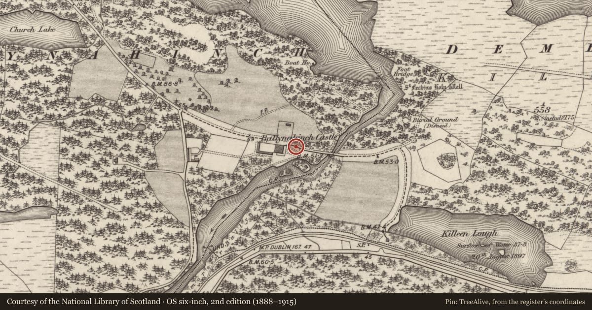 Ordnance Survey six-inch map, 2nd edition (1888–1915) covering the location of Standing stone, Ballynahinch, County Galway, with a pin at the register's coordinates