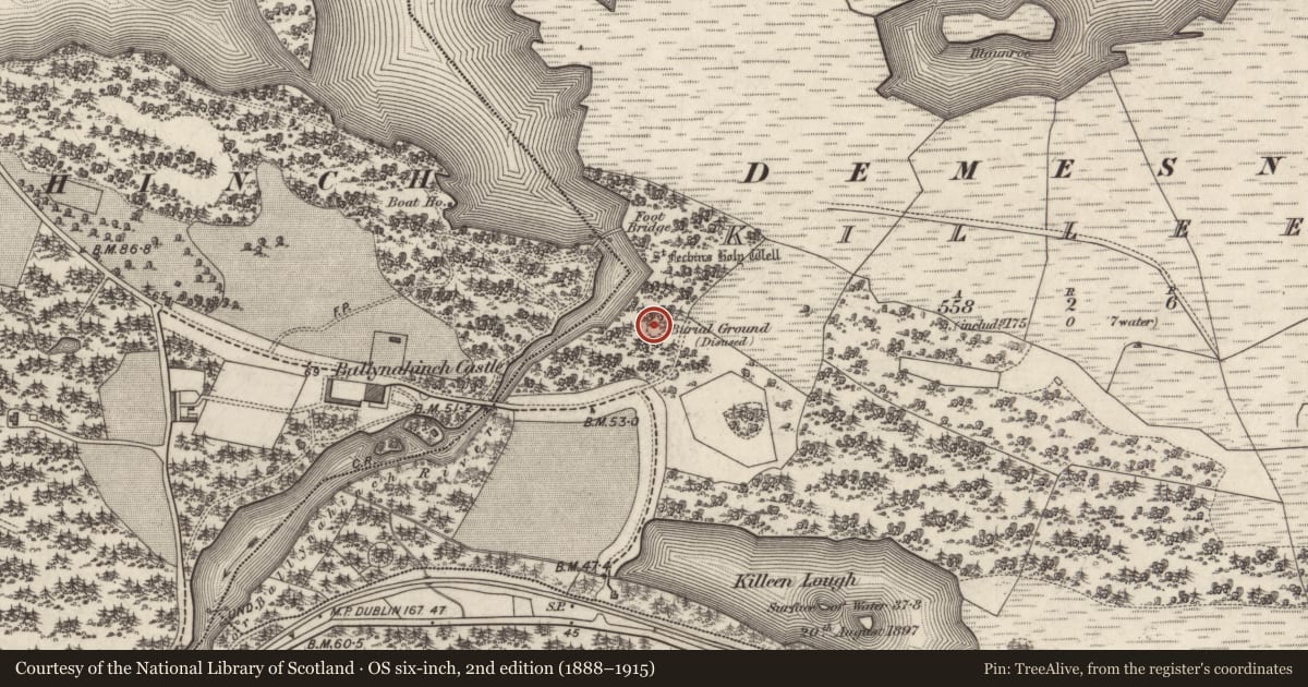 Ordnance Survey six-inch map, 2nd edition (1888–1915) covering the location of Graveyard, Killeen, County Galway, with a pin at the register's coordinates