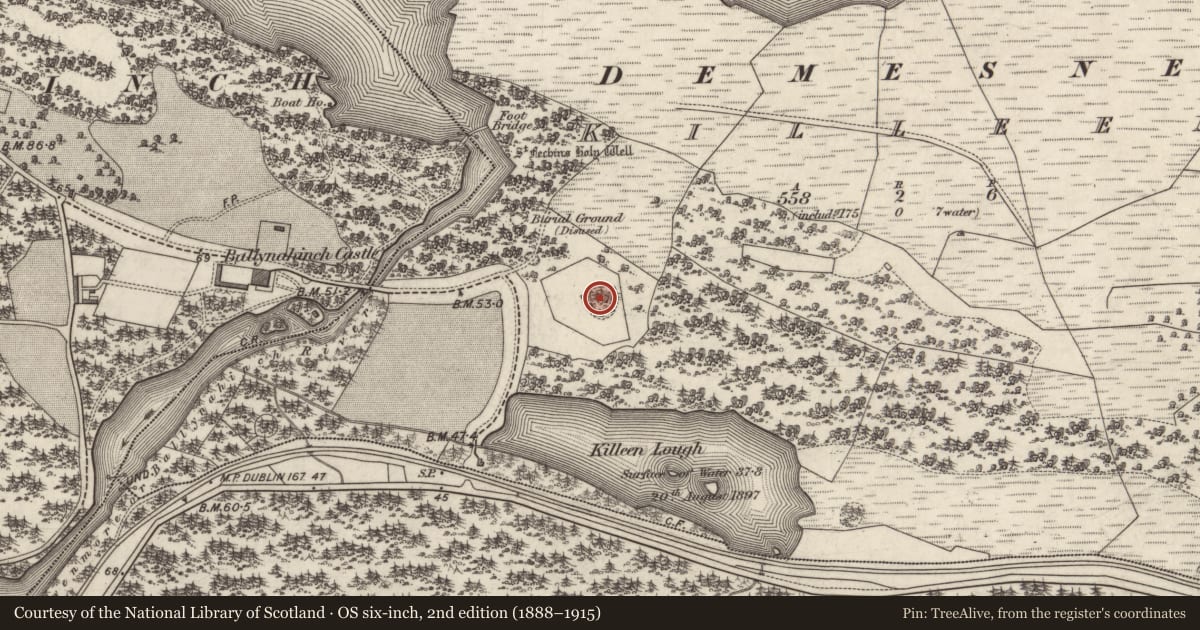 Ordnance Survey six-inch map, 2nd edition (1888–1915) covering the location of Designed landscape feature, Killeen, County Galway, with a pin at the register's coordinates
