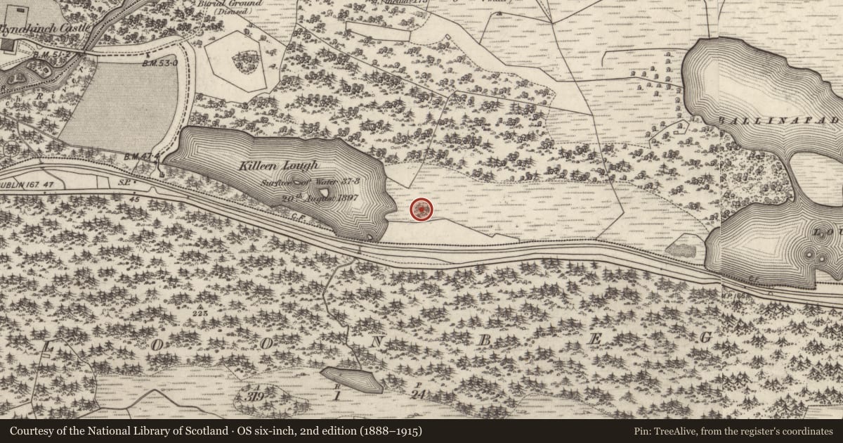 Ordnance Survey six-inch map, 2nd edition (1888–1915) covering the location of Designed landscape feature, Killeen, County Galway, with a pin at the register's coordinates