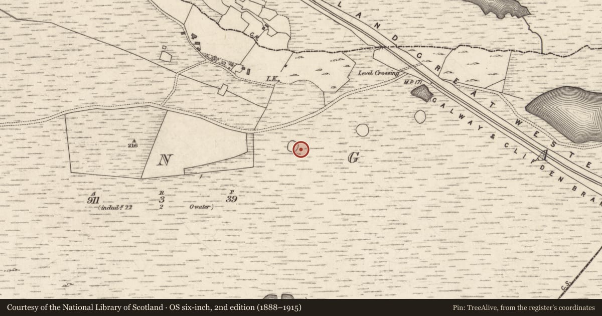Ordnance Survey six-inch map, 2nd edition (1888–1915) covering the location of Enclosure, Munga, County Galway, with a pin at the register's coordinates