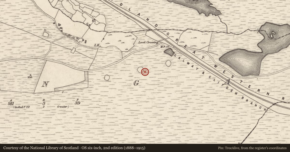 Ordnance Survey six-inch map, 2nd edition (1888–1915) covering the location of Enclosure, Munga, County Galway, with a pin at the register's coordinates