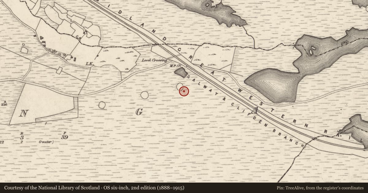 Ordnance Survey six-inch map, 2nd edition (1888–1915) covering the location of Enclosure, Munga, County Galway, with a pin at the register's coordinates