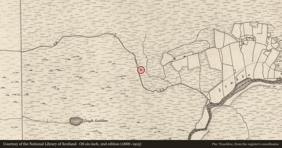 Ordnance Survey six-inch map, 2nd edition (1888–1915) covering the location of House - indeterminate date, Tooraskeheen, County Galway, with a pin at the register's coordinates